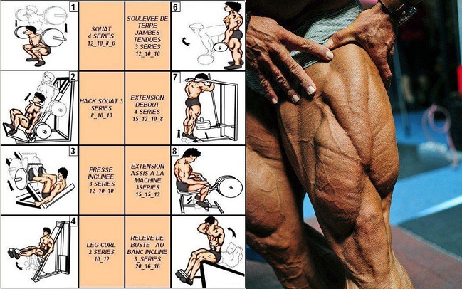 Bodybuilding Exercises For Your Legs