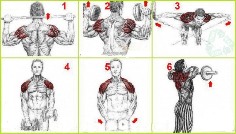 Build Big Shoulder Muscles
