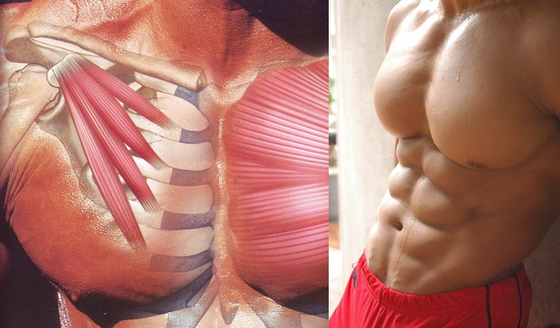 How to Get a Ripped Chest in 6 Weeks
