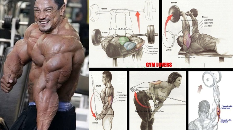 Triceps Exercises