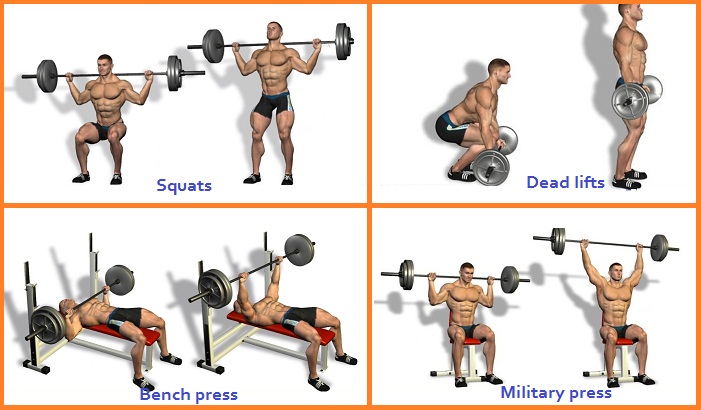 4 Most Effective Muscle Building Exercises