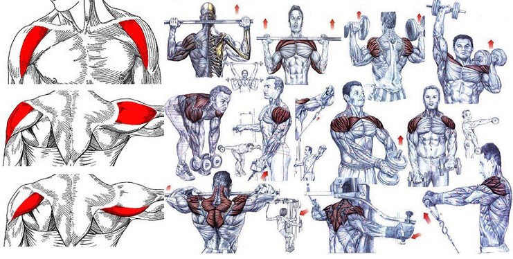 Complete Shoulder Workout