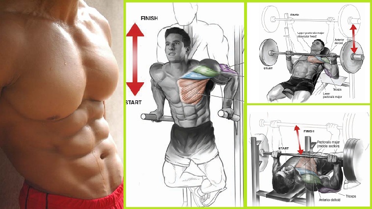 Exercises For a Massive Chest