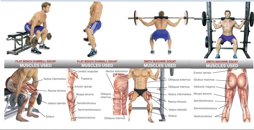 Exercises To Build Leg Muscles Effectively