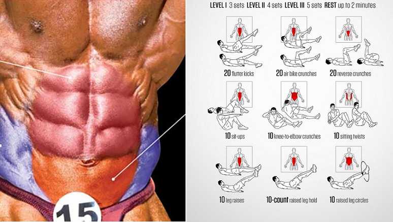 Exercises To Work Your Lower Abdominals!