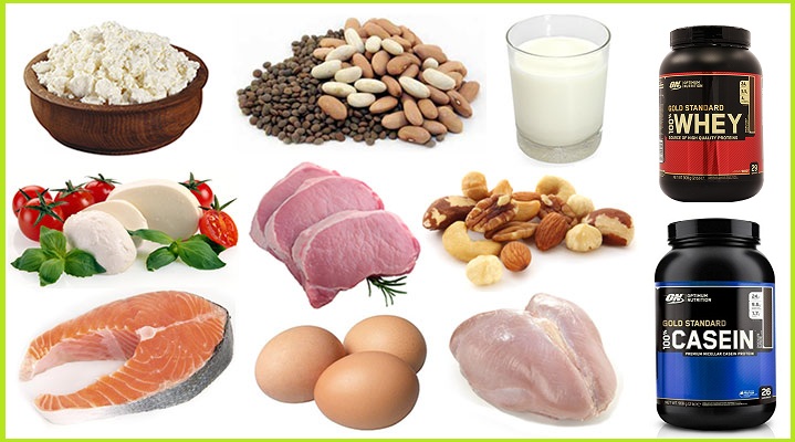 Four Protein Types That You Should Have