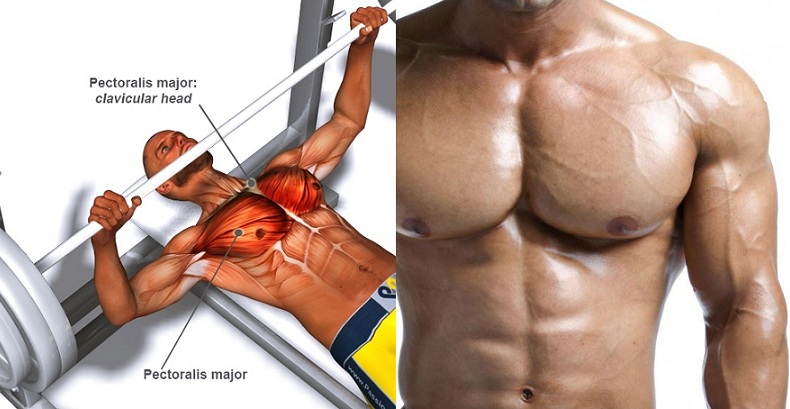 How to Bench Press With Proper Technique For a Big Chest