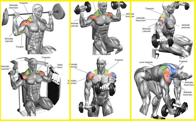 Top 5 Shoulder Exercises
