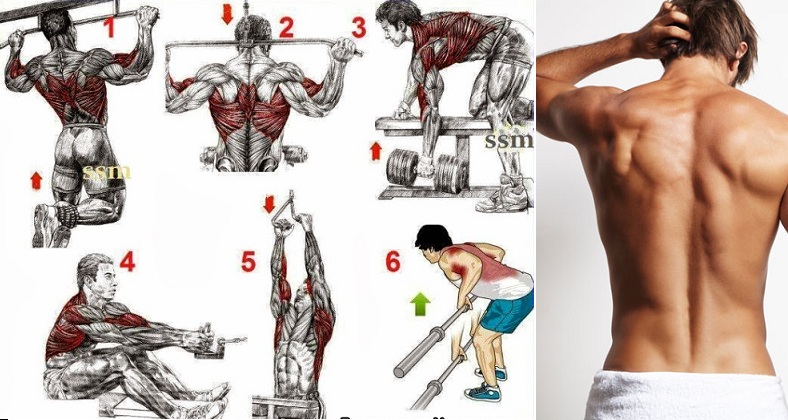 Best Back Exercises To Get It