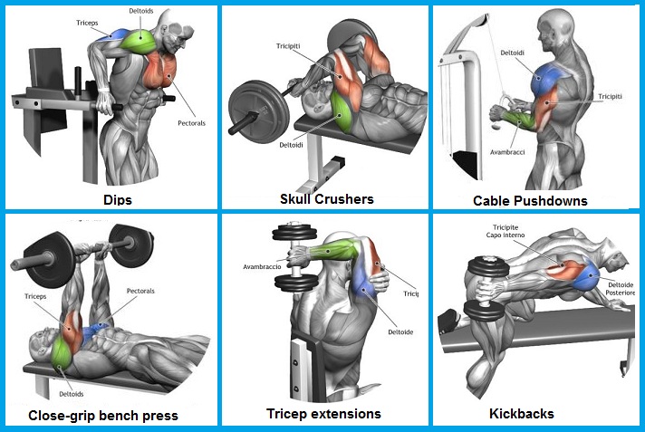 Best Exercise For Tricep Mass