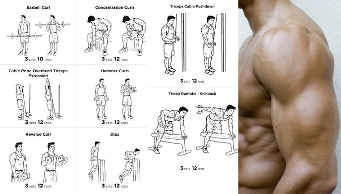 Biceps and Triceps Twice Per Week