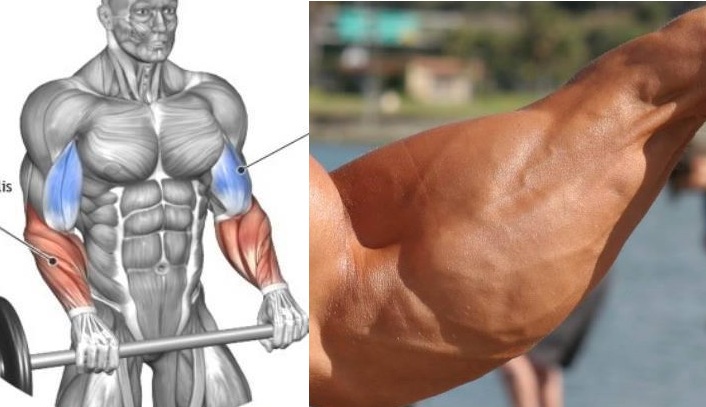 Build Forearms - 6 Steps to Monster Forearms