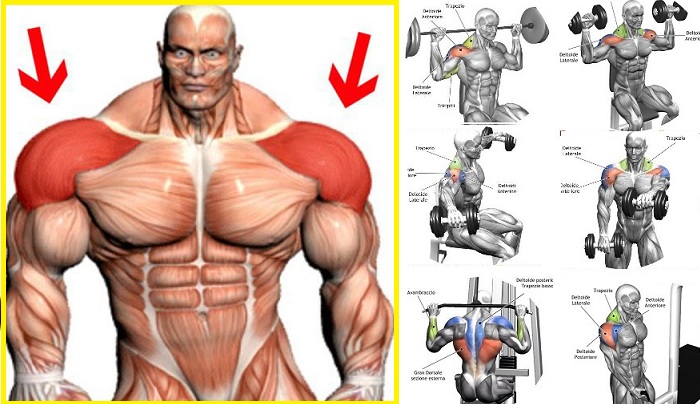 Building Muscle - How to Build Up Your Shoulders