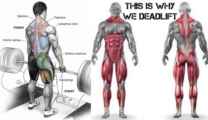 Five Reasons Why You Should Deadlift