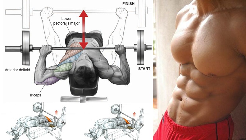 Get a Bigger Chest With Decline Bench Press