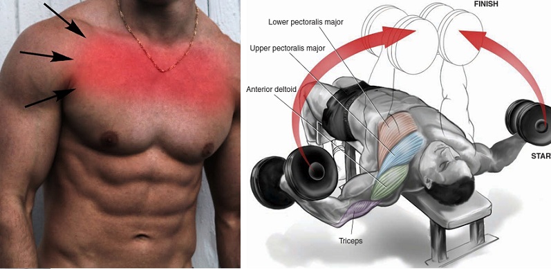 How to Easily Build Upper Chest Muscles
