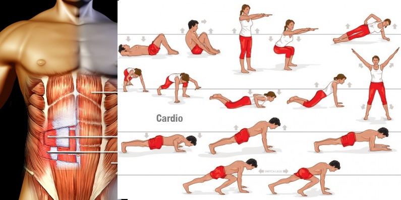 Six Pack Abs - How Cardio is the Best Way
