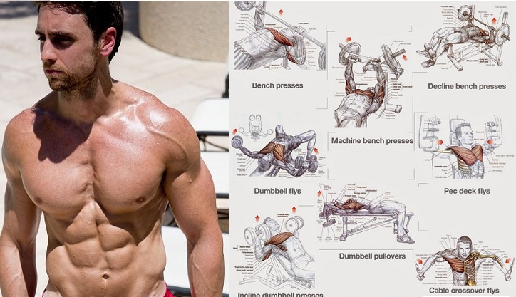 Top 4 Workouts For Chest For Building Muscle