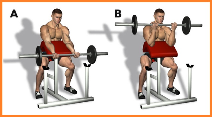 Use Super Set to Amp Up Your Bicep Work Out