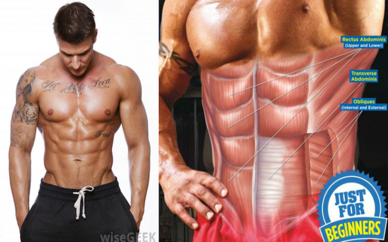Avoid These 5 Beginner Mistakes To Get Abs Fast