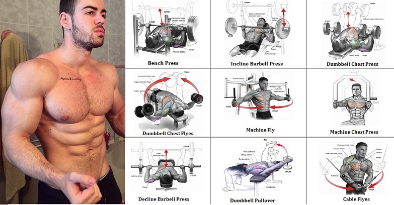 Best Bodybuilding Chest Workout You Should Know
