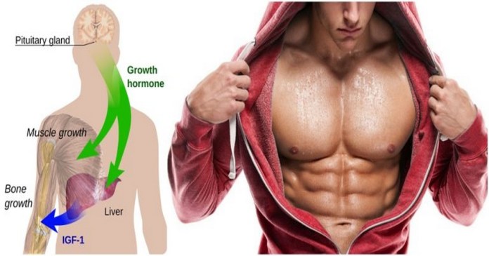 How To Increase HGH Naturally