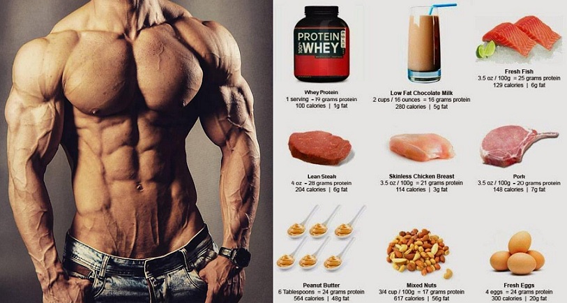 High Protein Muscle Building Foods You Must Start Eating