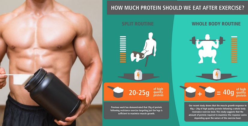 How Much Protein Is Enough For Growth