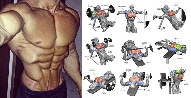 How to Get a Bigger Chest 