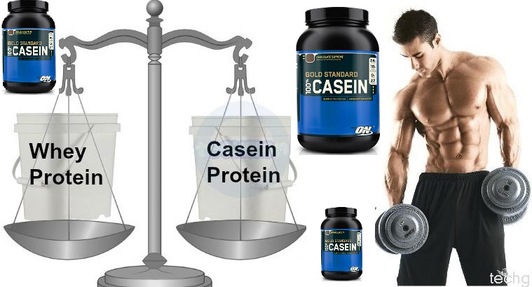 Muscle Building Protein - Casein Supplements