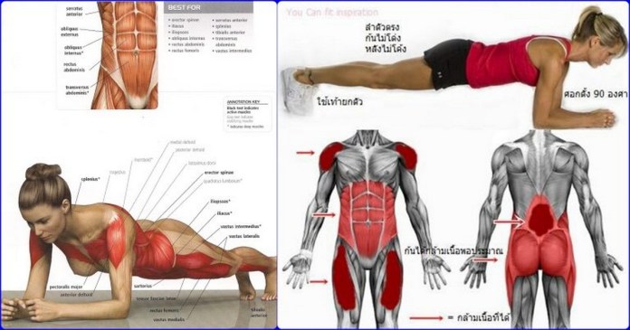 Plank Exercise Benefits For a Powerful Abs Workout