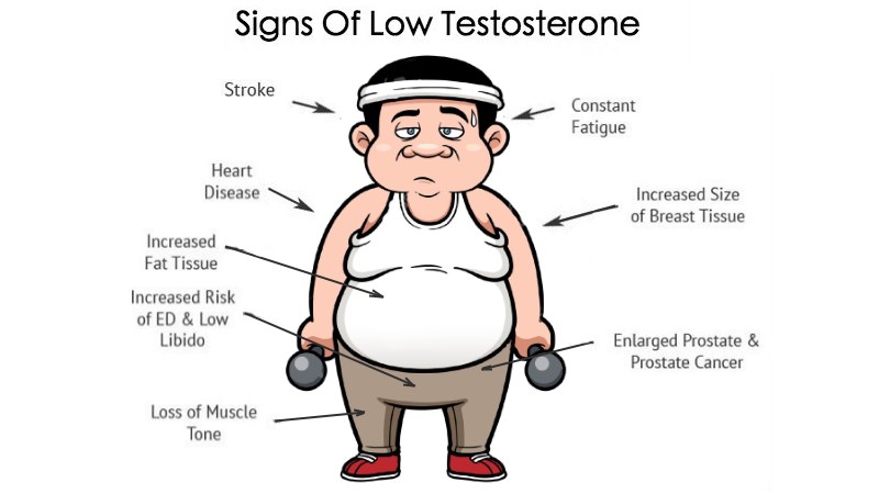 Are Low Testosterone Levels Dragging You Down