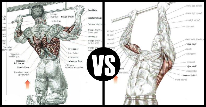 Chin Ups Vs Pull Ups - Which Exercise Gives You A Stronger Back?