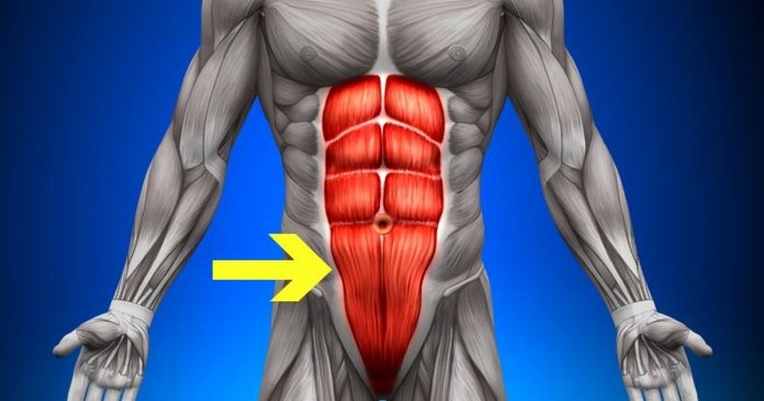 How to Build Specifically Lower Ab Muscles