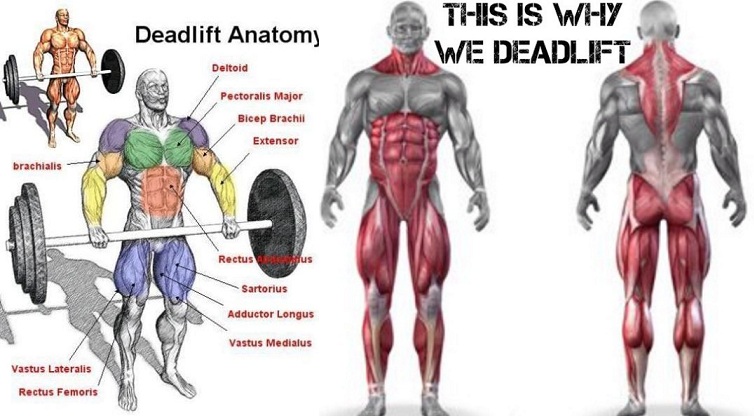 20 Benefits of Deadlifts You Probably Never Knew
