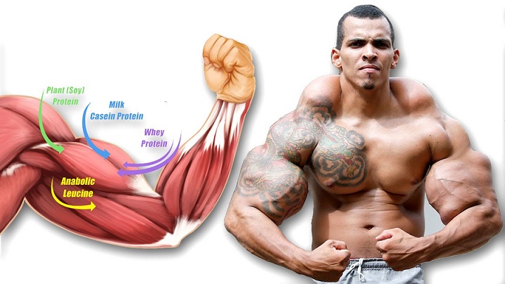 3 Most Important Keys to Muscle Gain - You Will Never Gain Muscle Unless You Know This!