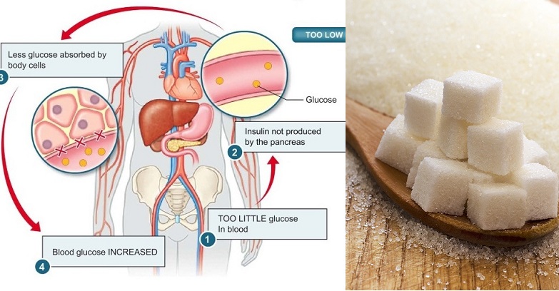 Do You Really Know What Sugar Does to Your Body?