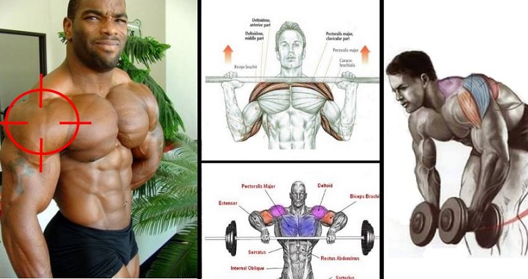 The Best Shoulder Workout Weightlifting Routines