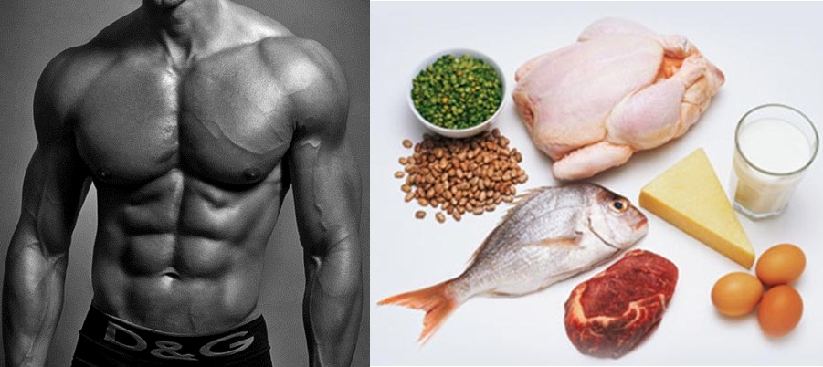  Top 7 Muscle Building Foods