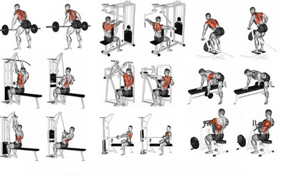 Image result for Back exercises