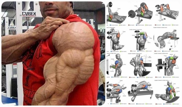 3 Superset Workout Routine For Killer Triceps