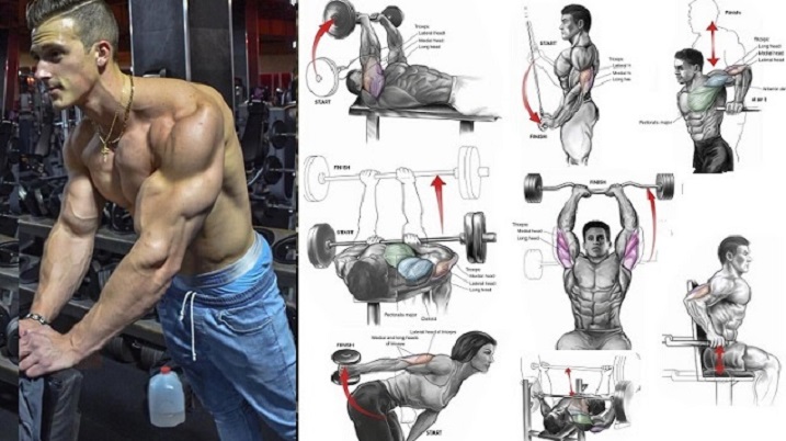 The Best Tricep Exercises for Mass