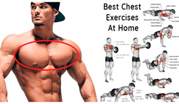 Chest Workout At Home: The Best Exercises To Build Perfectly Shaped Chest !  –