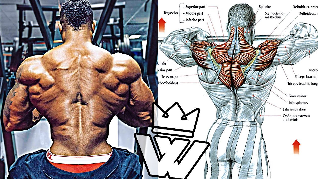 4 Traps Workouts For Crafting The Perfect Shoulders