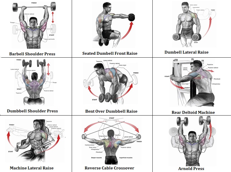 Shoulder Exercise Chart