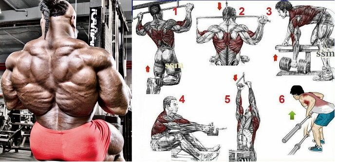 5 No BS Best Back Exercises For Super Explosive Muscle Growth – all ...