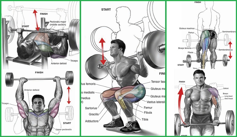 Building Back Muscles – 3 Mass Building Back Exercises – all